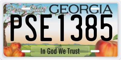 GA license plate PSE1385