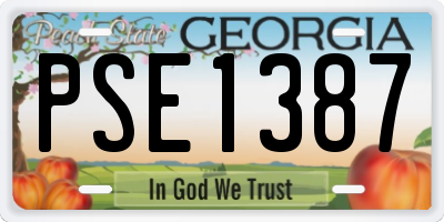 GA license plate PSE1387