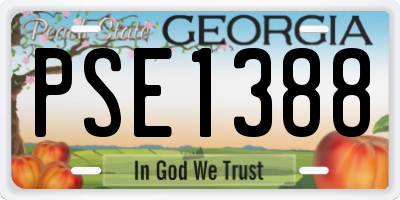 GA license plate PSE1388