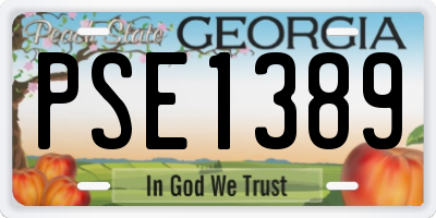 GA license plate PSE1389