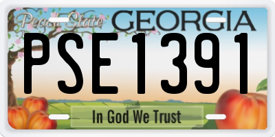 GA license plate PSE1391