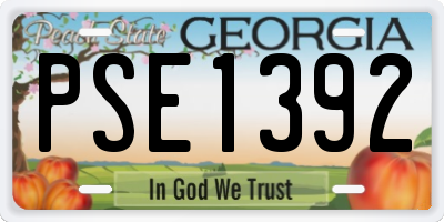 GA license plate PSE1392