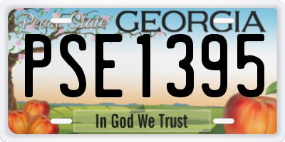 GA license plate PSE1395