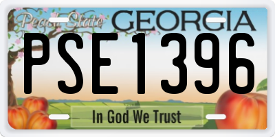GA license plate PSE1396