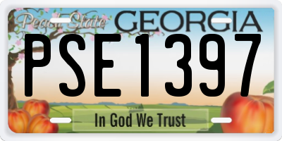 GA license plate PSE1397