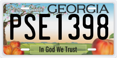 GA license plate PSE1398