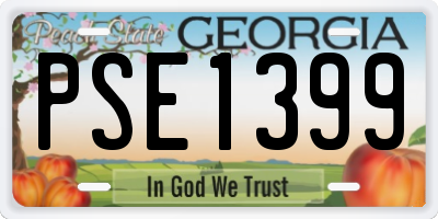 GA license plate PSE1399