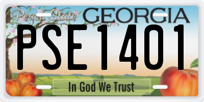 GA license plate PSE1401