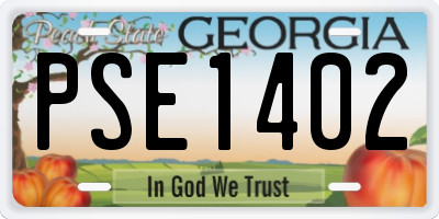 GA license plate PSE1402