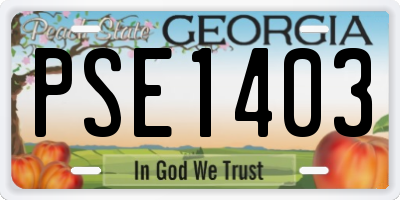 GA license plate PSE1403