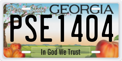 GA license plate PSE1404