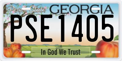 GA license plate PSE1405