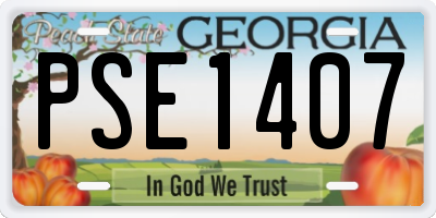 GA license plate PSE1407