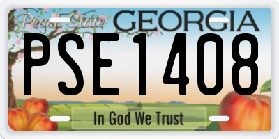 GA license plate PSE1408