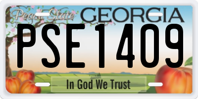 GA license plate PSE1409