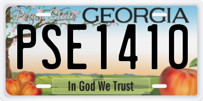 GA license plate PSE1410