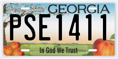 GA license plate PSE1411