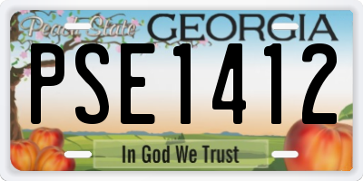 GA license plate PSE1412
