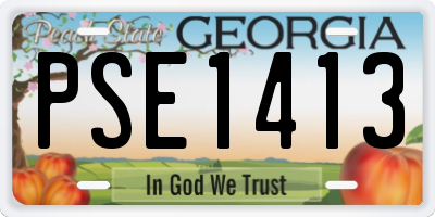 GA license plate PSE1413