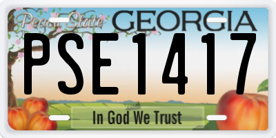 GA license plate PSE1417