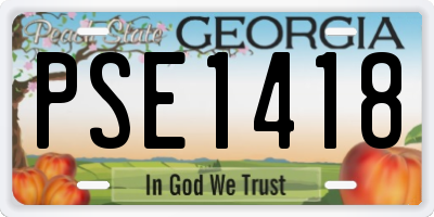 GA license plate PSE1418