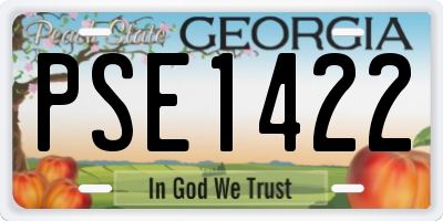 GA license plate PSE1422