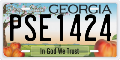GA license plate PSE1424