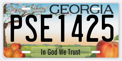 GA license plate PSE1425