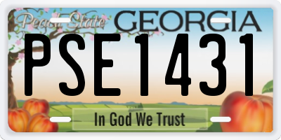 GA license plate PSE1431