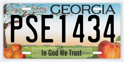 GA license plate PSE1434