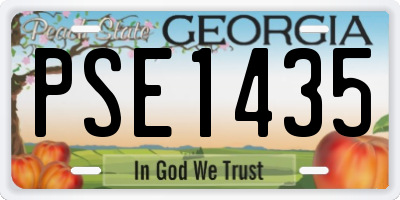GA license plate PSE1435