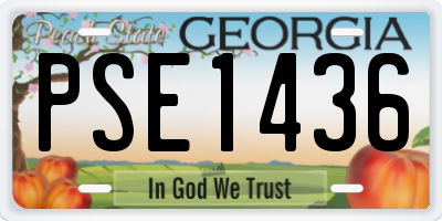 GA license plate PSE1436