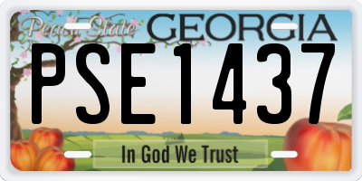 GA license plate PSE1437