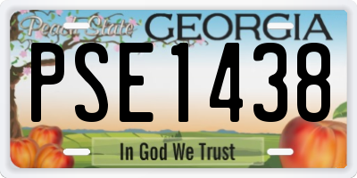 GA license plate PSE1438