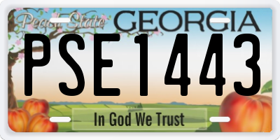 GA license plate PSE1443