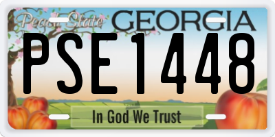 GA license plate PSE1448