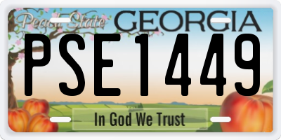 GA license plate PSE1449