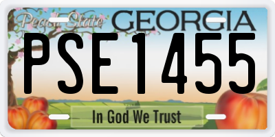 GA license plate PSE1455