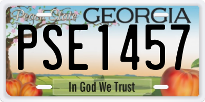 GA license plate PSE1457