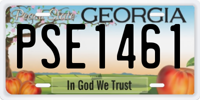 GA license plate PSE1461