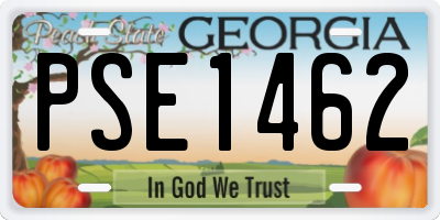 GA license plate PSE1462