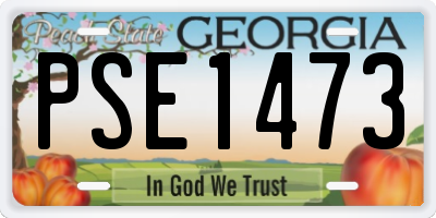 GA license plate PSE1473
