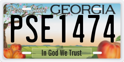 GA license plate PSE1474