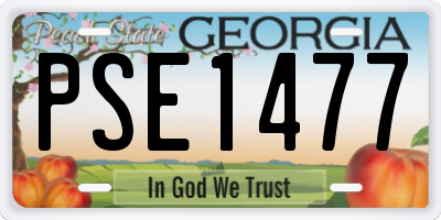 GA license plate PSE1477