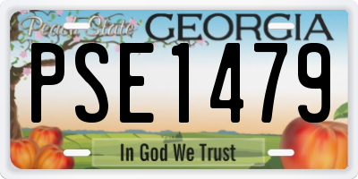 GA license plate PSE1479