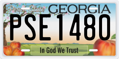GA license plate PSE1480