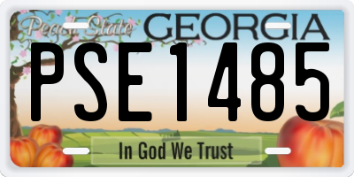 GA license plate PSE1485