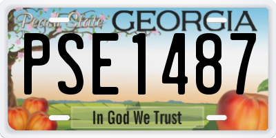 GA license plate PSE1487