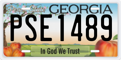 GA license plate PSE1489