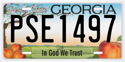 GA license plate PSE1497